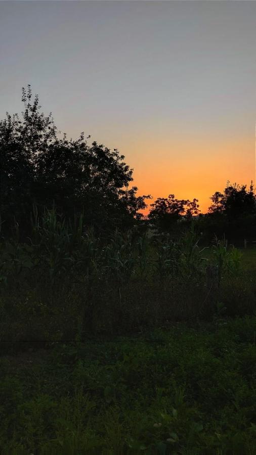 La Posada Del Canario Onís Kültér fotó